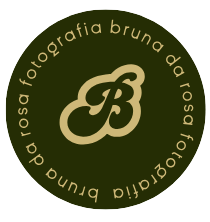 Logo BR